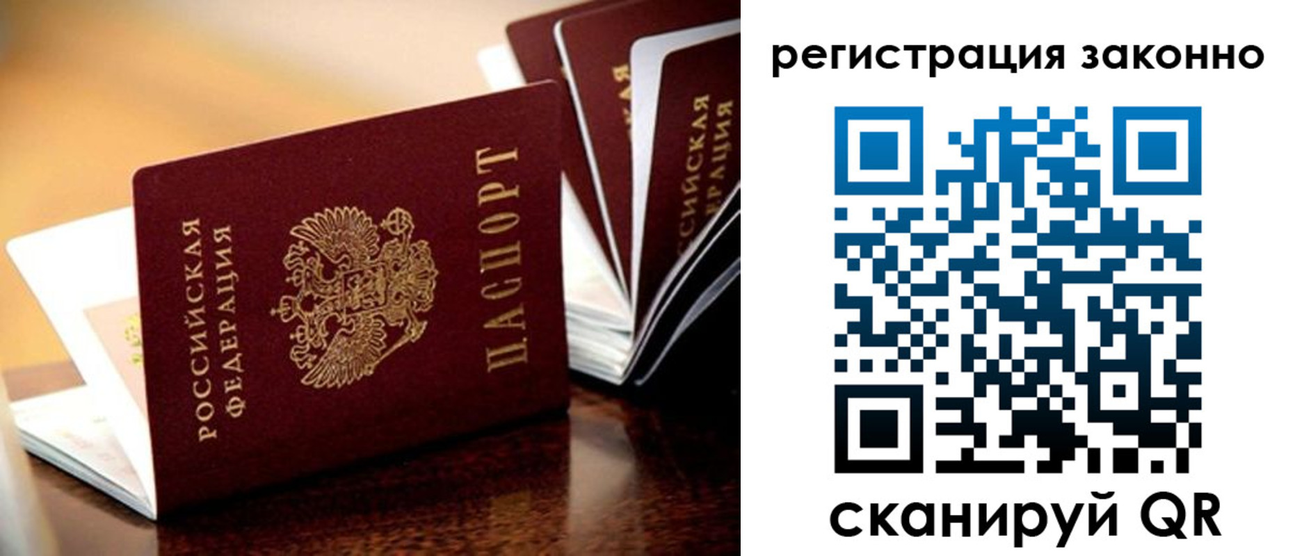 прописка для школы в Ясногорске